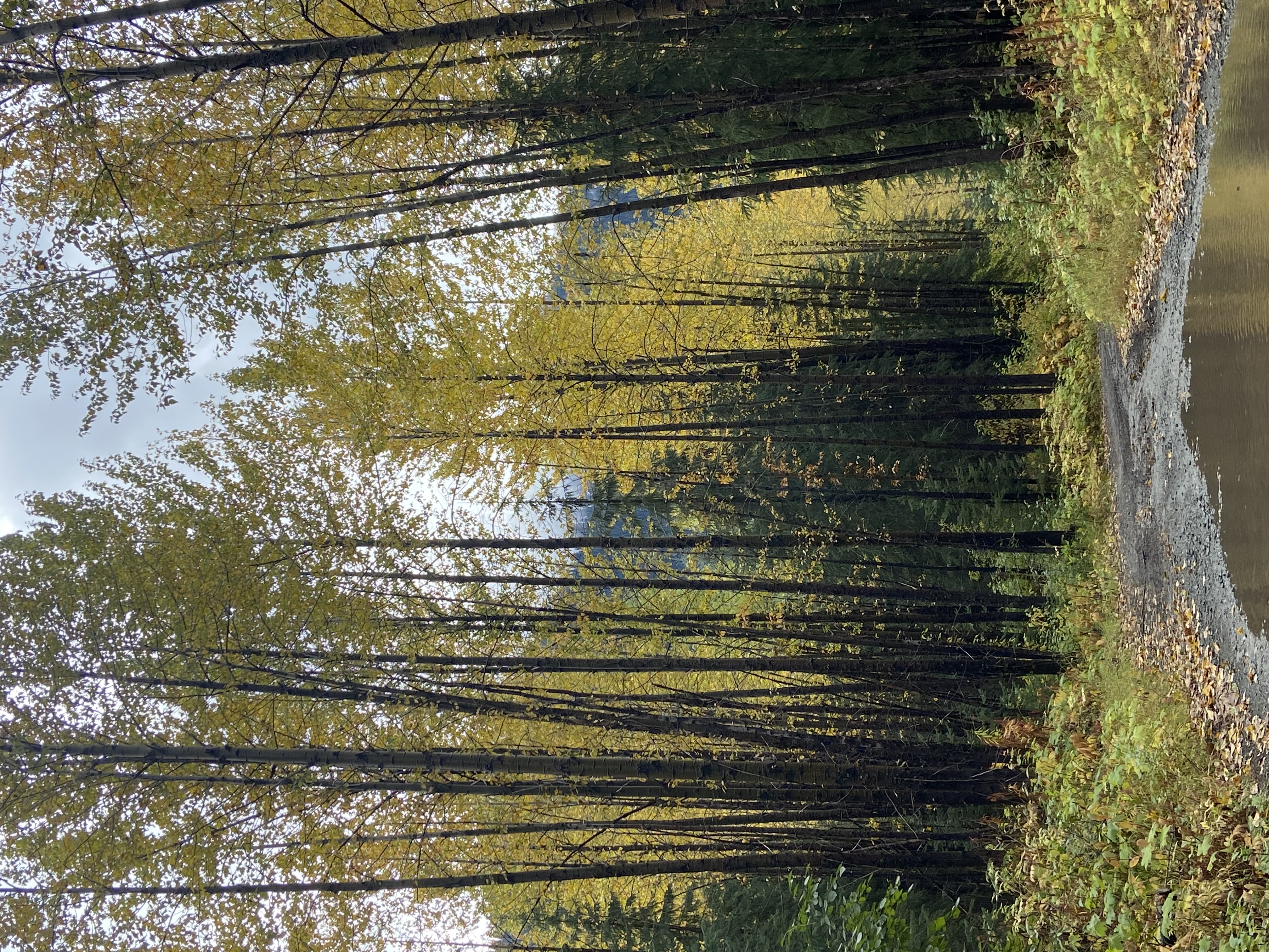 driveway into Narrow Lake